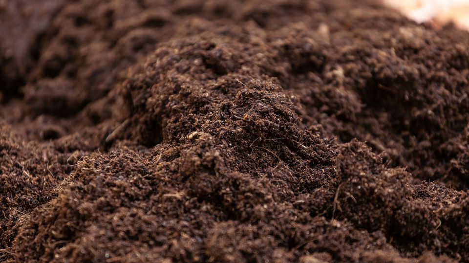 Humus Kompost Gemisch Pflanzerde Erde Mutterboden Gartenerde in Ansbach