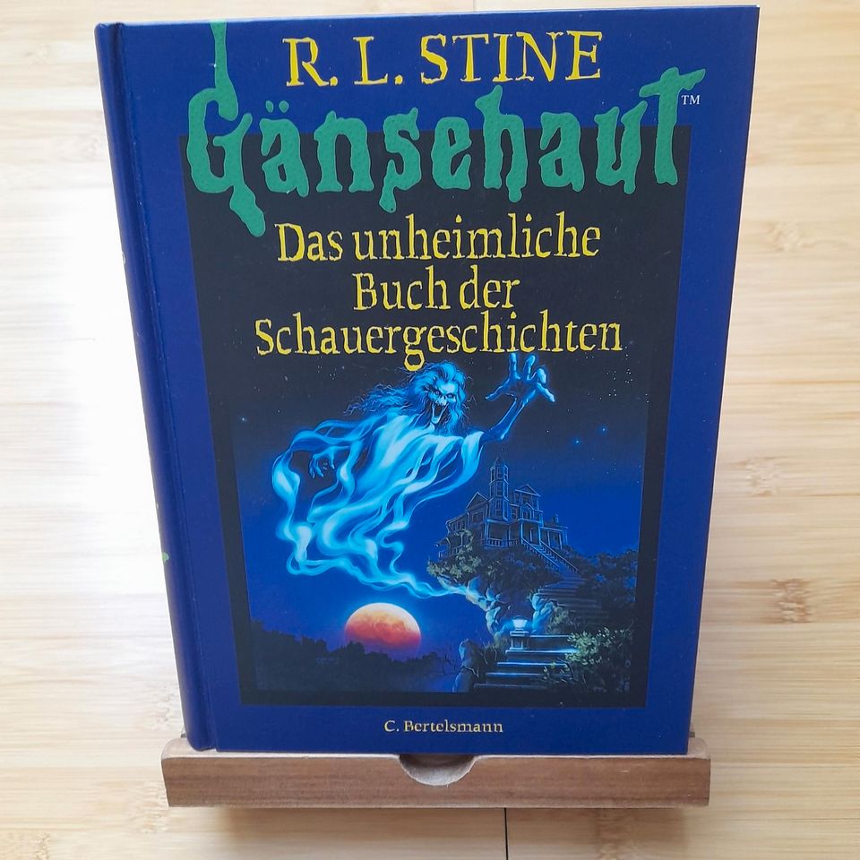 Robert L. Stine: Gänsehautgeschichten in Donaueschingen