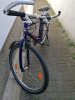 Cycle Wolf Mountainbike Fahrrad 26 Zoll Rheinland-Pfalz - Mainz Vorschau