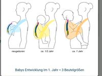 BABY Bauchtrage von Mamo Schleswig-Holstein - Rendsburg Vorschau