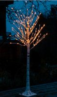 LED Birken 180/230 cm f. Hochzeit mieten Bayern - Lechbruck Vorschau