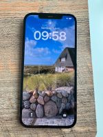 iPhone 12 Pro Max 128 GB sehr gut erhalten Herzogtum Lauenburg - Geesthacht Vorschau