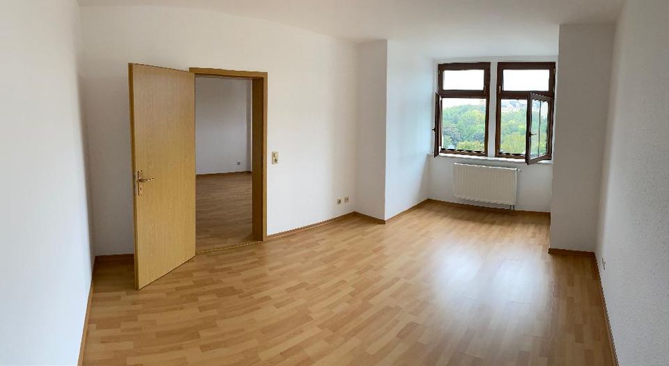 *BIRI* - 2-Raum-Wohnung mit EBK in zentrumsnaher Lage in Plauen