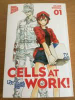 Cells At Work! Band 1, Manga, incl. Porto Hessen - Söhrewald Vorschau