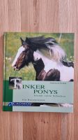 Tinker Ponys  - Ein Rasseportrait Baden-Württemberg - Wiesloch Vorschau