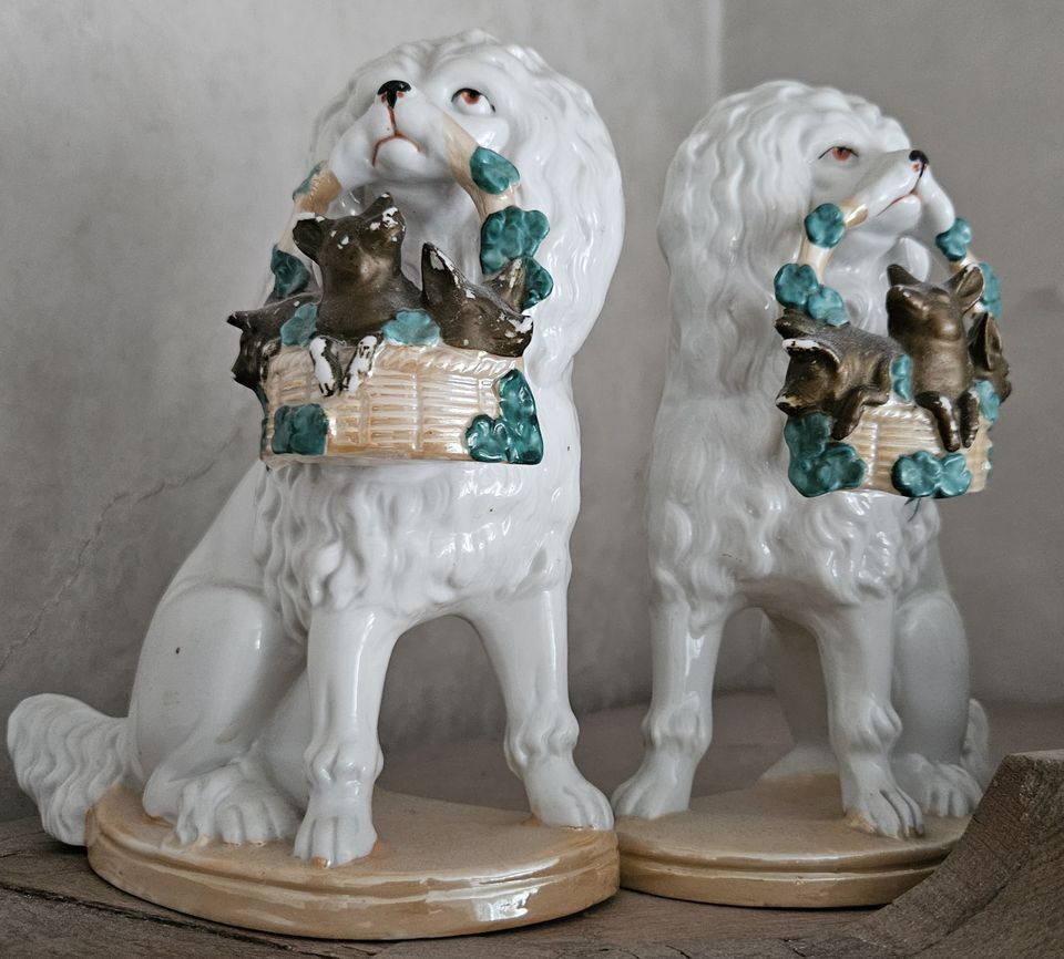 Ein Paar Porzellan Pudelhunde mit Ferkeln, Pudel, Hunde in Berg Fidel