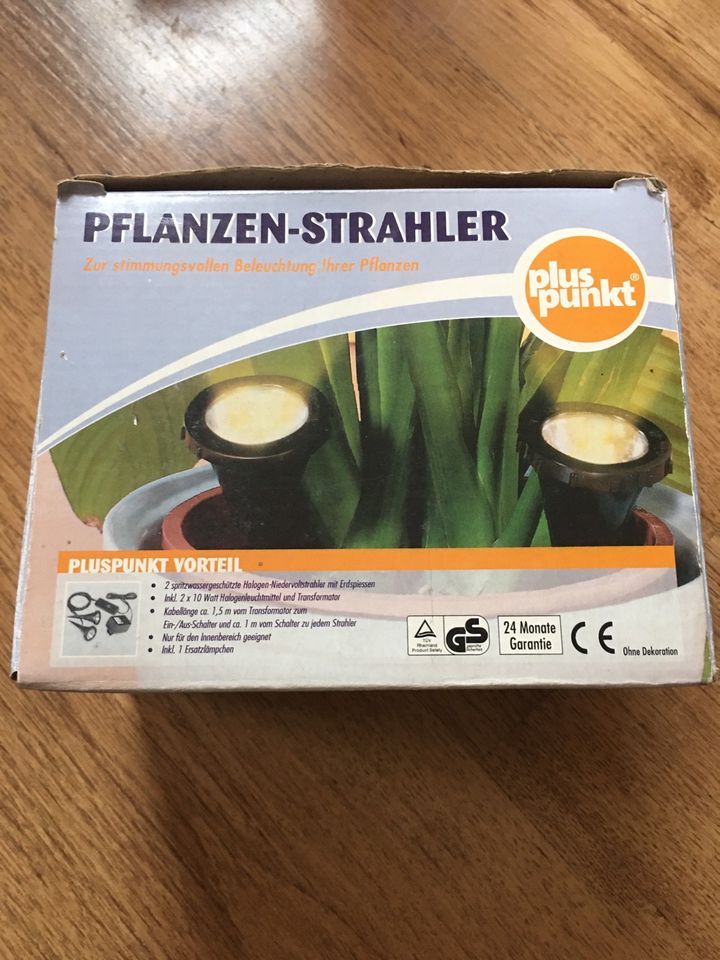 Pflanzen Strahler in Moormerland