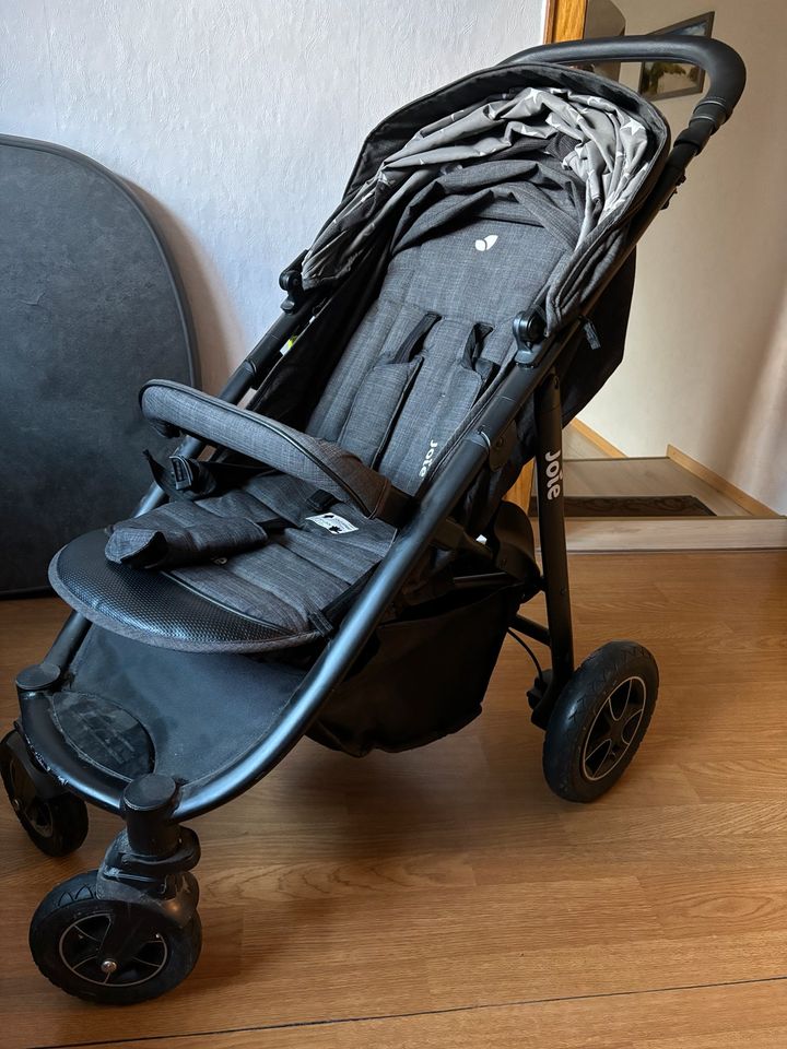 Buggy von Joie in Bischoffen