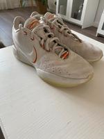 Basketballschuhe Lebron 21 in Größe 44,5 (getragen) Nordrhein-Westfalen - Sankt Augustin Vorschau