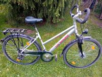 Damenfahrrad MC Kenzie Sachsen - Zwoenitz Vorschau