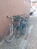 Fahrräder gebraucht Nordrhein-Westfalen - Neuenkirchen Vorschau