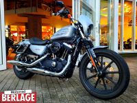 Harley Davidson XL1200N Iron 1Hd 20tkm Gepäcktr LED Chrom Garanti Nordrhein-Westfalen - Borchen Vorschau