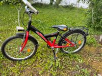 Verkaufe Pegasus Kinderfahrrad 20 Zoll Bayern - Reisbach Vorschau