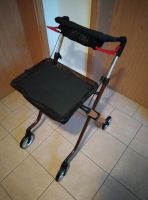 Pixel Indoor-Rollator Sachsen - Herrnhut Vorschau