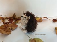 Igel Amigurumi Dekoration Herbst gehäkelt braun Hessen - Alsfeld Vorschau