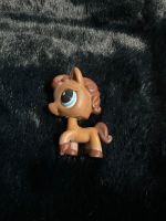 LPS Littlest PET Shop Pferd braun Blue eyes Nordrhein-Westfalen - Hilden Vorschau