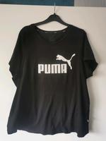 Puma Shirt Sachsen-Anhalt - Rohrberg Altmark Vorschau