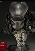 Sideshow Predator Masked Hunter Legendary Scale Bust Mecklenburg-Vorpommern - Rambin Vorschau