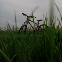 Suche Leute nähe Schöningen die mit mir Mountainbike fahren Niedersachsen - Bahrdorf Vorschau