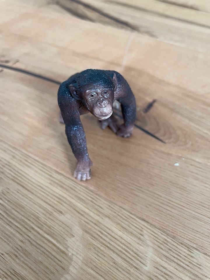 4 Tiere von Schleich (Affe, Löwe, Tiger, Bär) in Hüttenberg