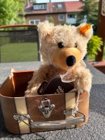 Steiff Teddy Charly im Koffer 28 cm Original Bayern - Erlangen Vorschau