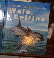 Tessloffs erstes Buch der Wale und  Delfine Alter 8-10 Jahre Nordrhein-Westfalen - Meckenheim Vorschau