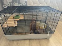 Hamster Käfig Hessen - Kassel Vorschau