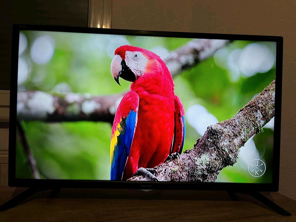 SHARP 82 cm 32-Zoll, Smart TV in Osthofen