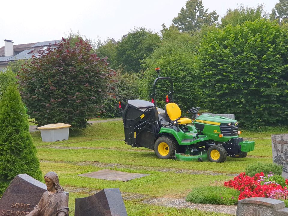 Rasen Garten Mähen Rasenmähen Heckenschnitt Gartenpflege in Schorndorf