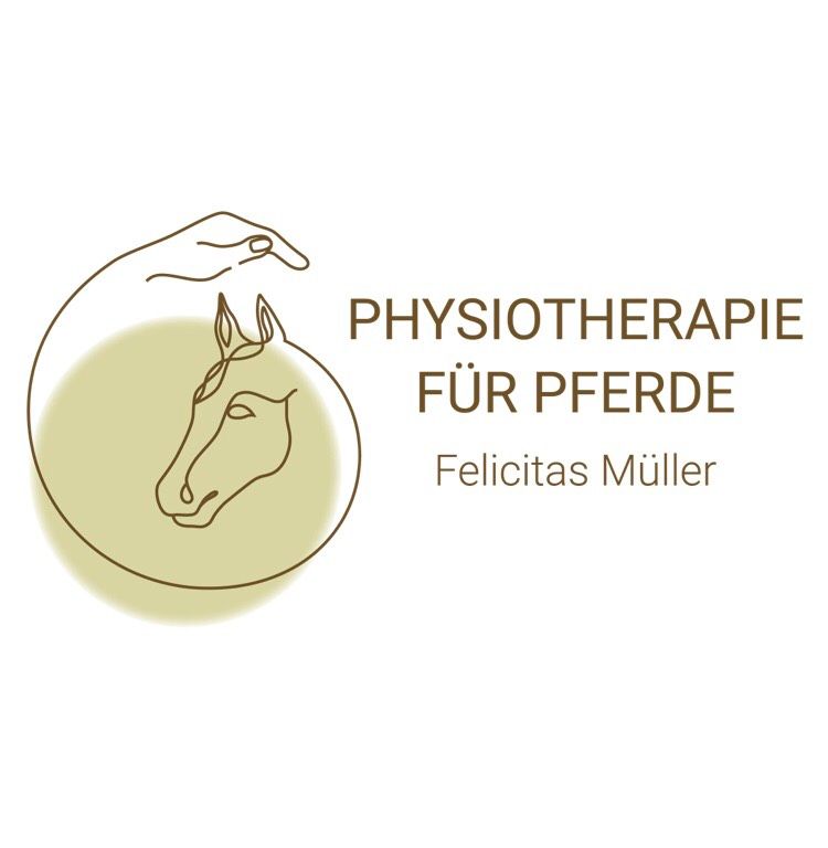 Physiotherapie und Osteopathie für Pferde in Bremen