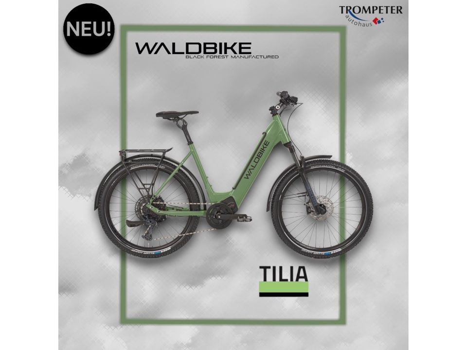 E-Bike/ Waldbike E-CITY / E-TREKKING TILIA/ lizard green in Lünen