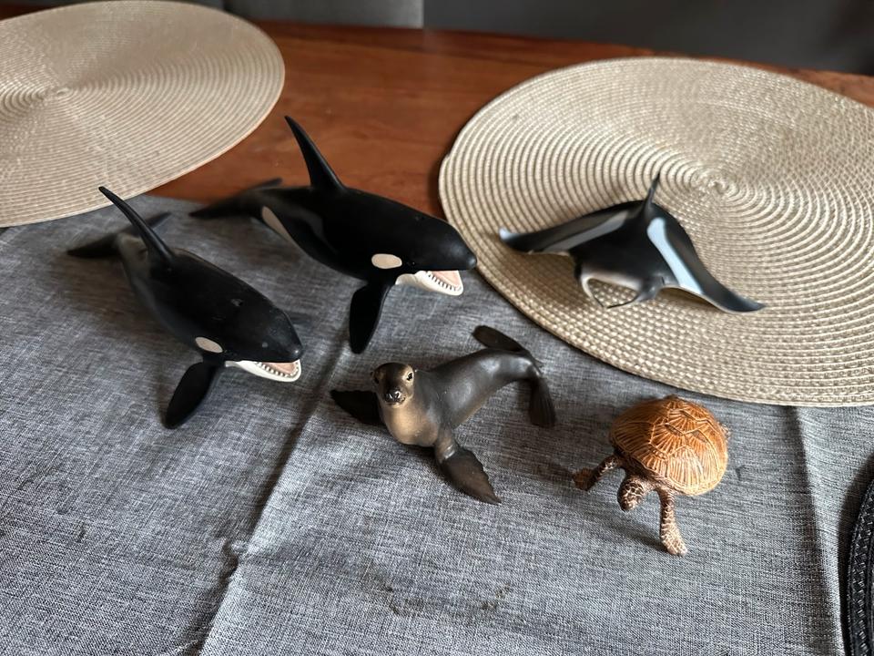 Schleich Figuren Meerestiere Orca, Schildkröte, Rochen, Seelöwe in Scharbeutz