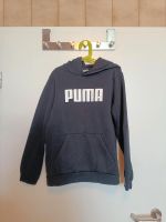 Puma Hoodie Pulli Kapuze Y11/12 152 Rheinland-Pfalz - Kaiserslautern Vorschau