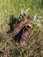 SUCHE Alte Timberland 3-Eye Damen Niedersachsen - Wanna Vorschau