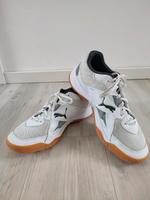 PUMA SOLARFLASH Sportschuhe Gr. 42.5, Hallenschuhe Handballschuhe Nordrhein-Westfalen - Bad Oeynhausen Vorschau