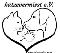 Totfund Katze Stolzenhofen Bayern - Lauben b. Memmingen Vorschau