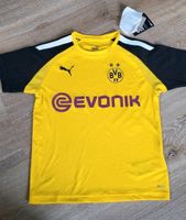 Borussia Dortmund bvb Trikot Größe 140 Akademie NEU Sonderedition Nordrhein-Westfalen - Iserlohn Vorschau