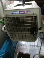 Petmate Transportbox für kleine Katzen, Hunde, Kaninchen Hamburg-Mitte - Hamburg Hamm Vorschau