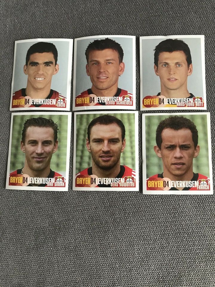 PANINI SAMMELBILDER FUSSBALL BUNDESLIGA 2002 + 2003. 40.STK in Hemmingen