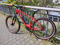 BULLS LT CX 27,5'' 545 WH RH 44cm ROT 2024 Rheinland-Pfalz - Traben-Trarbach Vorschau