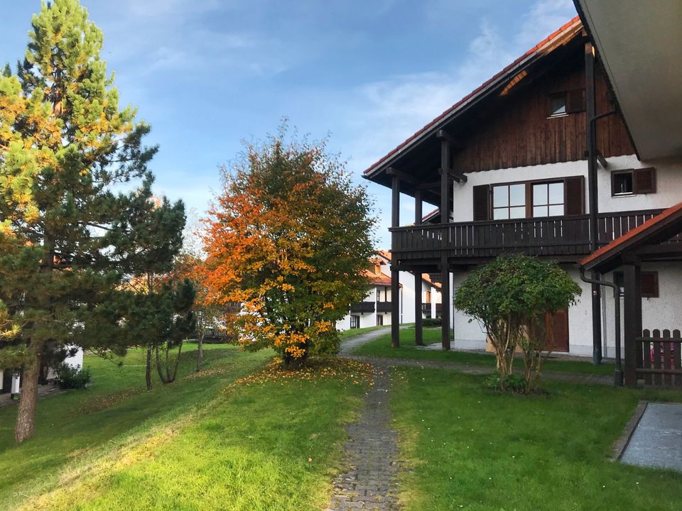 Apartments im Grünen HERZ des Nationalparks Bayerischer Wald in Zwiesel