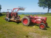 Suche alles über Bukh Traktoren Schleswig-Holstein - Langballig Vorschau