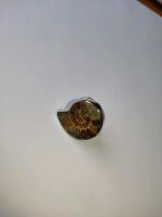 Ring mit Fossil Fingerring 925er Silber Ringgröße 56 Baden-Württemberg - Appenweier Vorschau