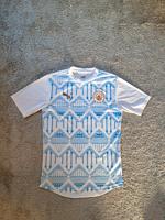 Puma Manchester City Trikot Ungetragen *Original* Niedersachsen - Friesoythe Vorschau