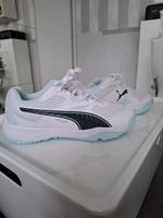 Puma Hallenschuhe mit Karton Häfen - Bremerhaven Vorschau