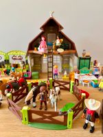 PLAYMOBIL, DreamWorks Spirit - große Sammlung Pankow - Prenzlauer Berg Vorschau