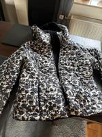 Wendejacke Jacke Teddy 42 LIV Winterjacke Nordrhein-Westfalen - Gangelt Vorschau