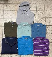 Konvolut Ralph Lauren / Lacoste / Chaps (Polos / Zipper / Hoodie) Hessen - Gießen Vorschau