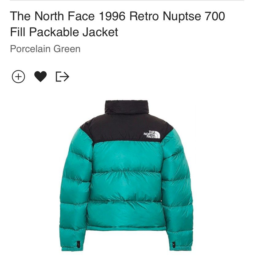 The North Face 1996 Retro Nuptse 700 Fill Jacket in Ebersbach an der Fils