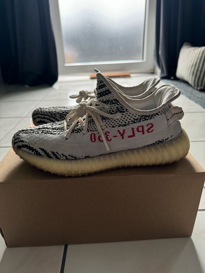 Adidas Yeezy Boost 350 Zebra 40 2/3 in Duisburg